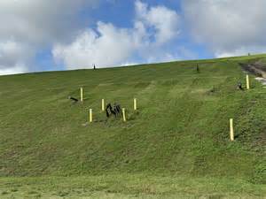 NC landfills create hidden risk: PFAS-contaminated sludge and ...