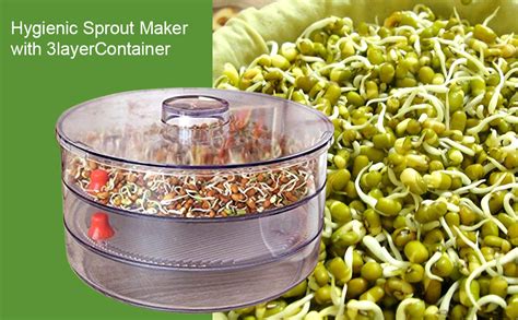 Buy Gambit Plastic Sprout Maker with 3 Compartment - Multicolour Online ...