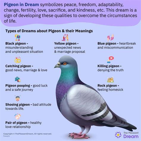Pigeon in Dream - Pathway Leading To A Peaceful Life