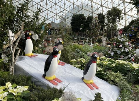 Mitchell Park Show Dome To Become A Snow Globe » Urban Milwaukee