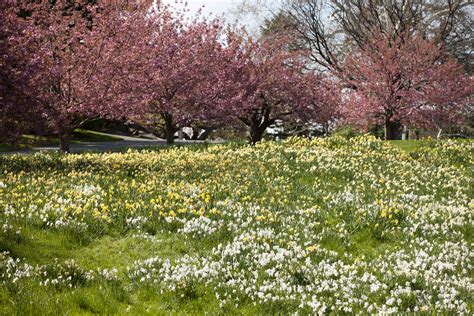 Image result for Spring Boot Default JSON Exception