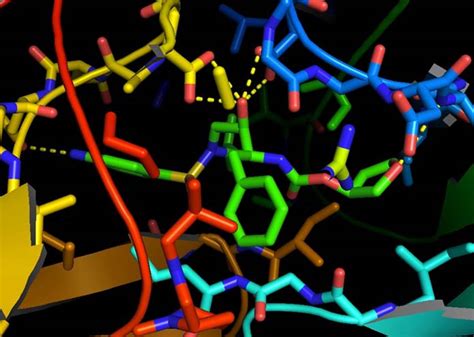 Image result for Structure Genetics Software User Guide