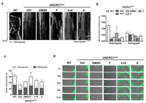 Biology | Special Issue : Mitochondria: The Diseases' Cause and Cure