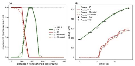 Efficient Radial-Shell Model for 3D Tumor Spheroid Dynamics with ...