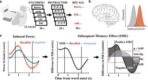 Memory Encoding Graph 的图像结果