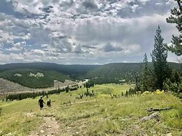 Image result for Grizzly hiker Wyoming 