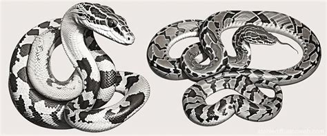 Image result for Python Tutorial Video