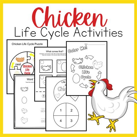 Free Printable Life Cycle Of A Chicken Worksheet - Free Math Worksheet ...