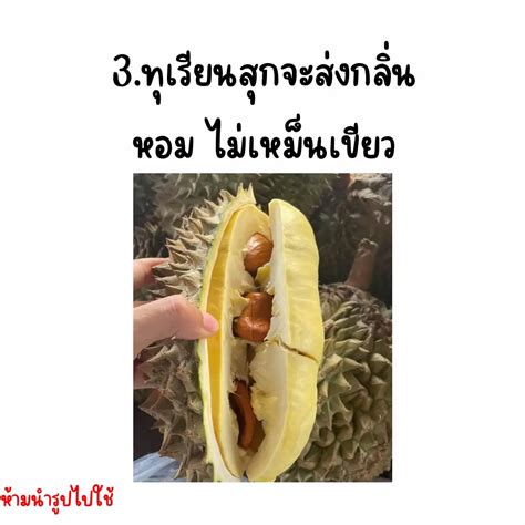 Image result for Java Rice Tray