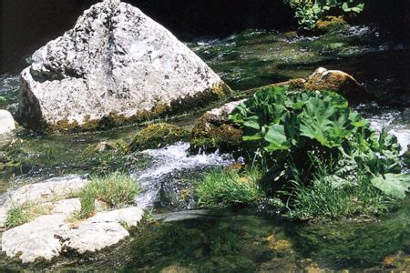 Sorgenti Capo di Fiume