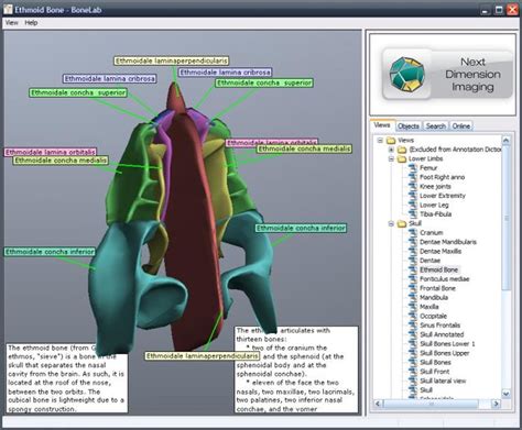 How to Install Code Mods On BoneLab 的图像结果