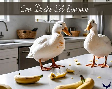 Can Ducks Eat Bananas? All Nutritional Benefits & Risks 2026