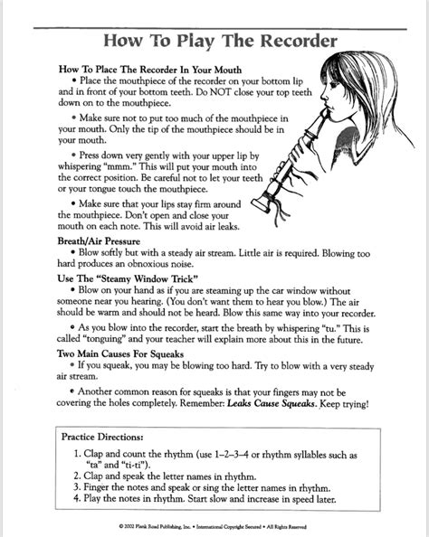 Image result for How to Play a Recorder Basic