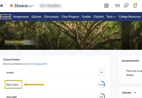 Mcc Brightspace Login