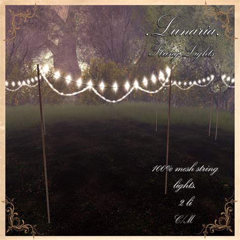 Image result for Canopy String Lights