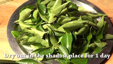 Curry leaf powder | Karuveppilai podi-How to make-Video