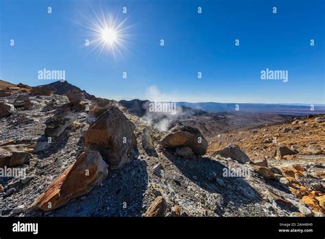 Image result for Mern Stack Developer GIF