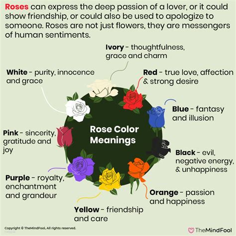 What Are Rose Color Meanings at Alfred Little blog