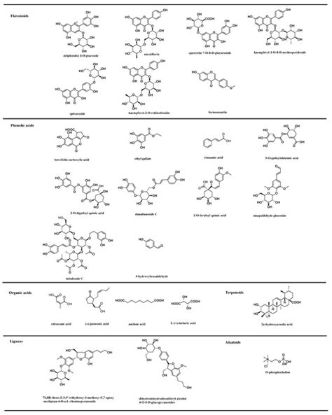 UPLC-ESI-MS/MS-Based Analysis of Various Edible Rosa Fruits Concerning ...