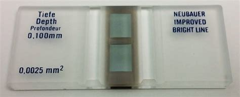 Microyn Upgraded Neubauer Hemocytometer for Accurate Cell India | Ubuy