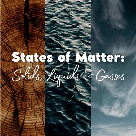 Particle Models 的图像结果