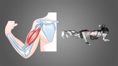 Do Push Ups Work Biceps? Yes and No - Inspire US