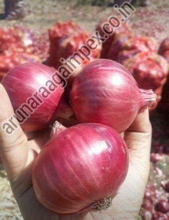 Nasik Red Onion Manufacturers, Exporters and Suppliers from Hubli India