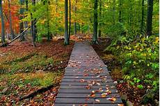 Fall Nature Computer Backgrounds by Nature Fall Wallpapers Wallpaper Cave Fall Nature Computer Backgrounds