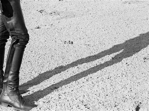 A very huntsman holiday installation | Meer