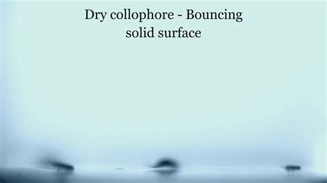 Image result for Springtail Jump