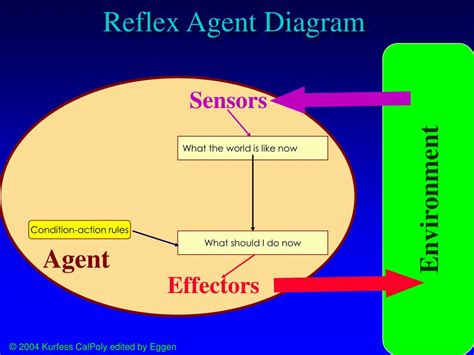 Reflex Agent 的图像结果
