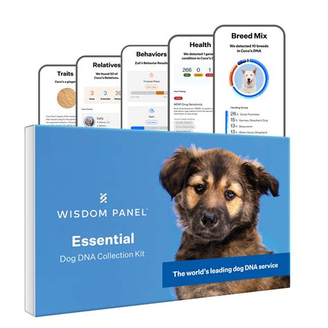 Wisdom Panel Essential Dog DNA Test Kit | Petco
