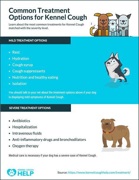 Kennel Cough Treatment - Antibiotics, Throat Spray, Remedies & More