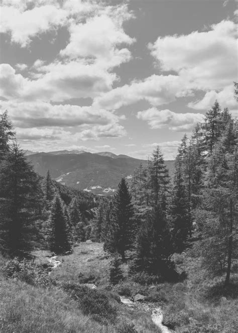 Nature Back View Portrait 的图像结果