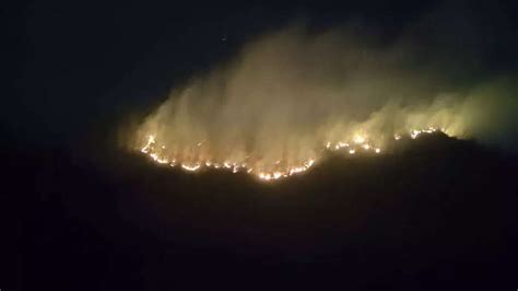 Photos: Another fire breaks out at Sariska Tiger Reserve | The Times of ...