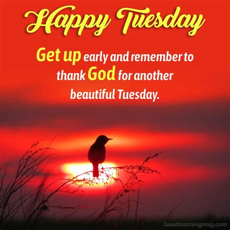 100+ Blessings and Prayer Tuesday Good Morning Images - goodmorningmsg ...
