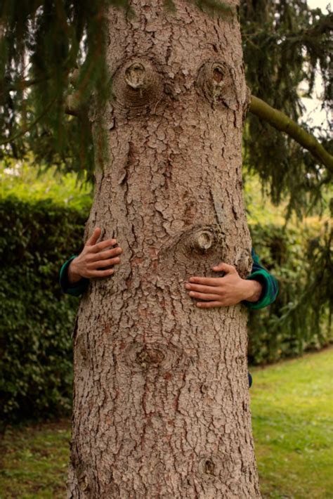 Cagnotte : Aidez nous à préserver les océans | Leetchi
