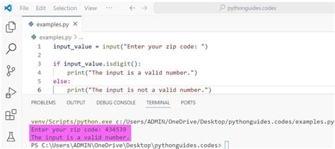 Image result for Output of Python Code If Input Is 101