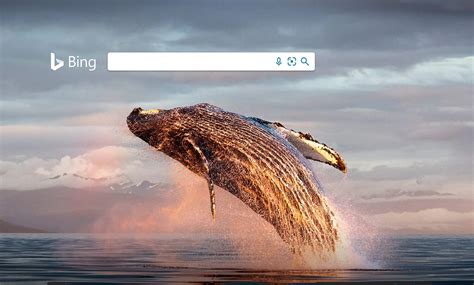 Bing Homepage Images 的图像结果