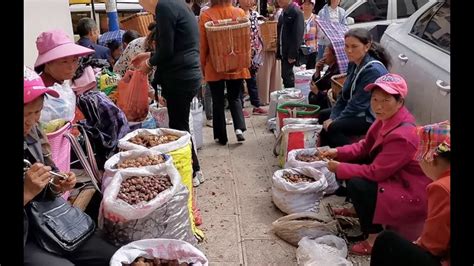 云南曲靖农村集市，一整条街都是卖核桃和板栗的，来自大山的山货 - YouTube