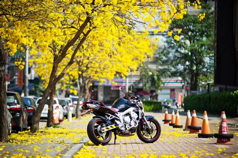 一夜之間我的車變壯了 之 FZ6N 開箱 - Mobile01