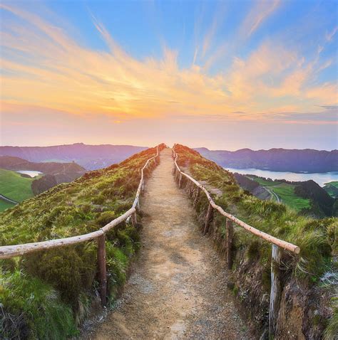 circuitos 的图像结果