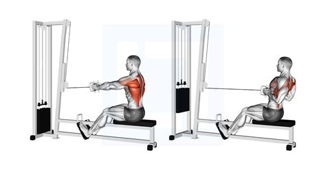 Image result for Cable Machine Bent Over Row