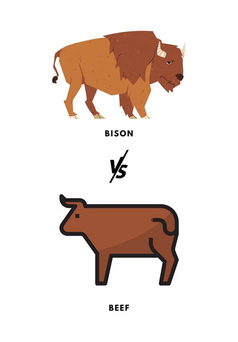 Bison FAQs – One Stop Halal