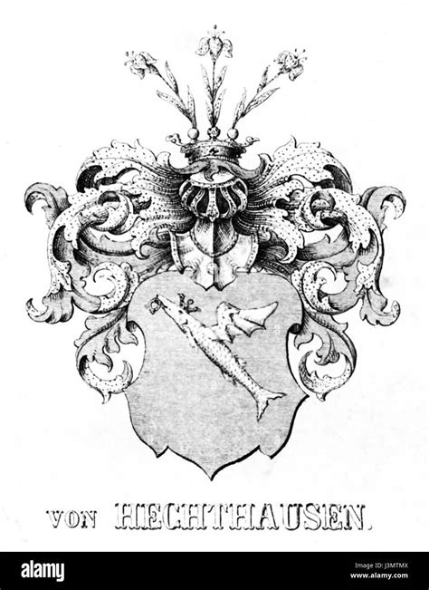 Local Identity Symbol 的图像结果