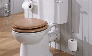 Image result for Best Flushing Toilet On the Market