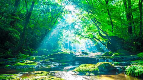 Meeting Background 的图像结果