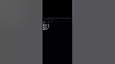 Image result for HelloWorld X86 Machine Code