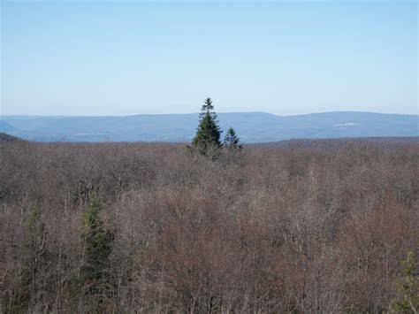Mount Davis: Pennsylvania's Highest Point | Where is Steve?