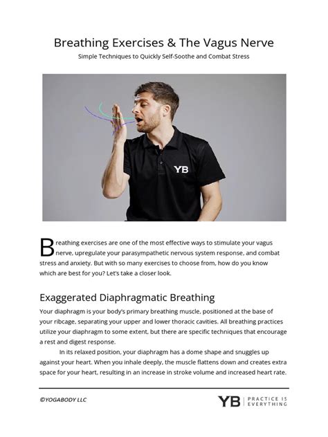 Vagus Nerve and Breathing | PDF | Breathing | Exhalation